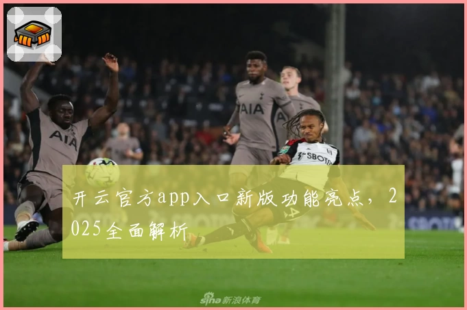 开云官方app入口新版功能亮点，2025全面解析